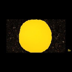 Meet your Posher, Ronny